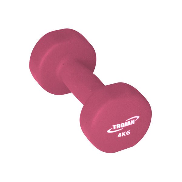 Dumbbells (4KG)