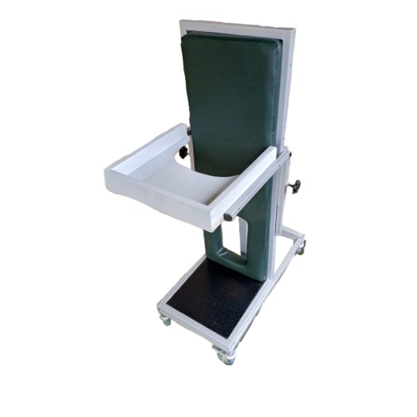 Standing Aid (locally made)